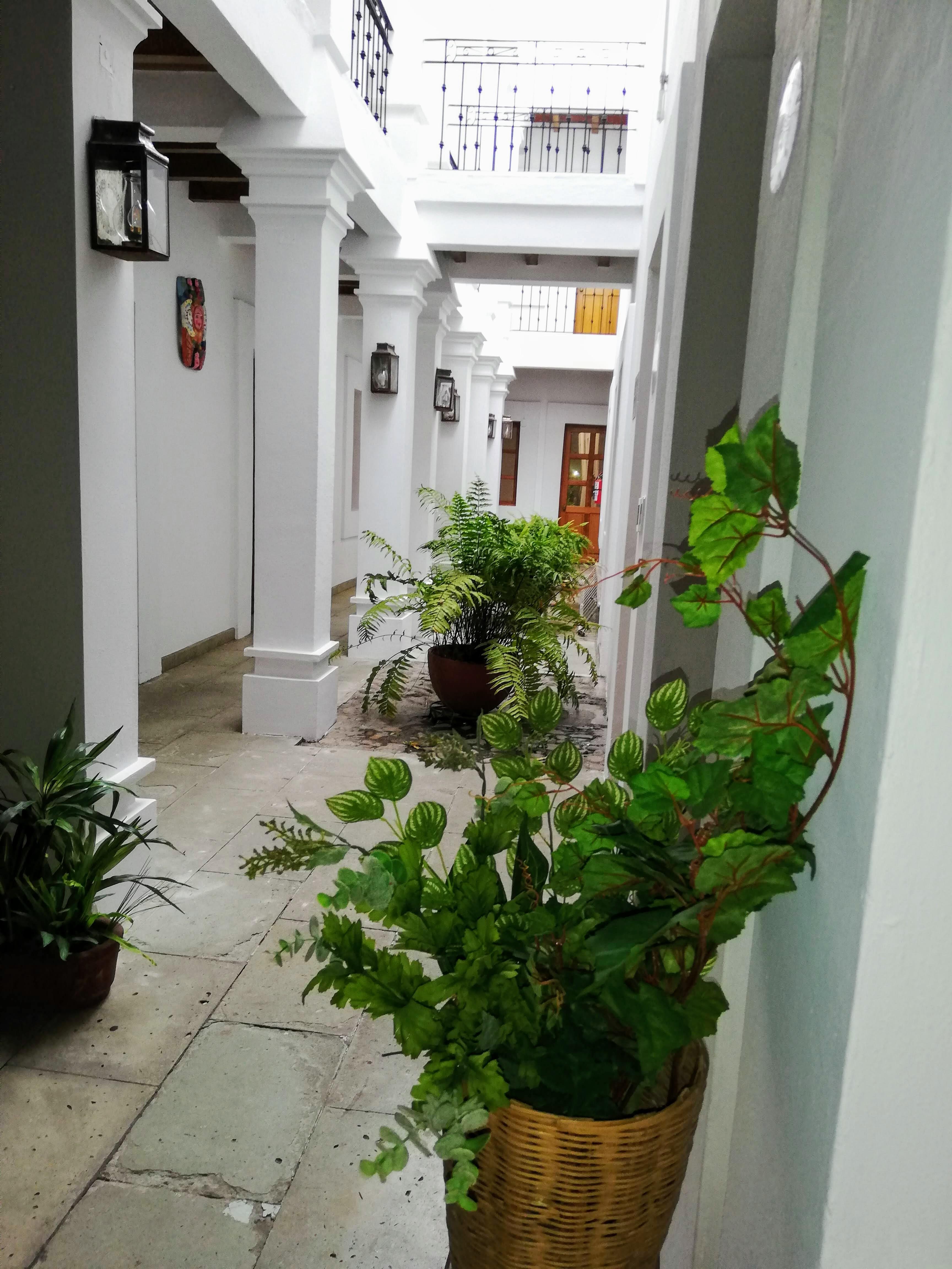 Hotel Aitana Oaxaca Εξωτερικό φωτογραφία