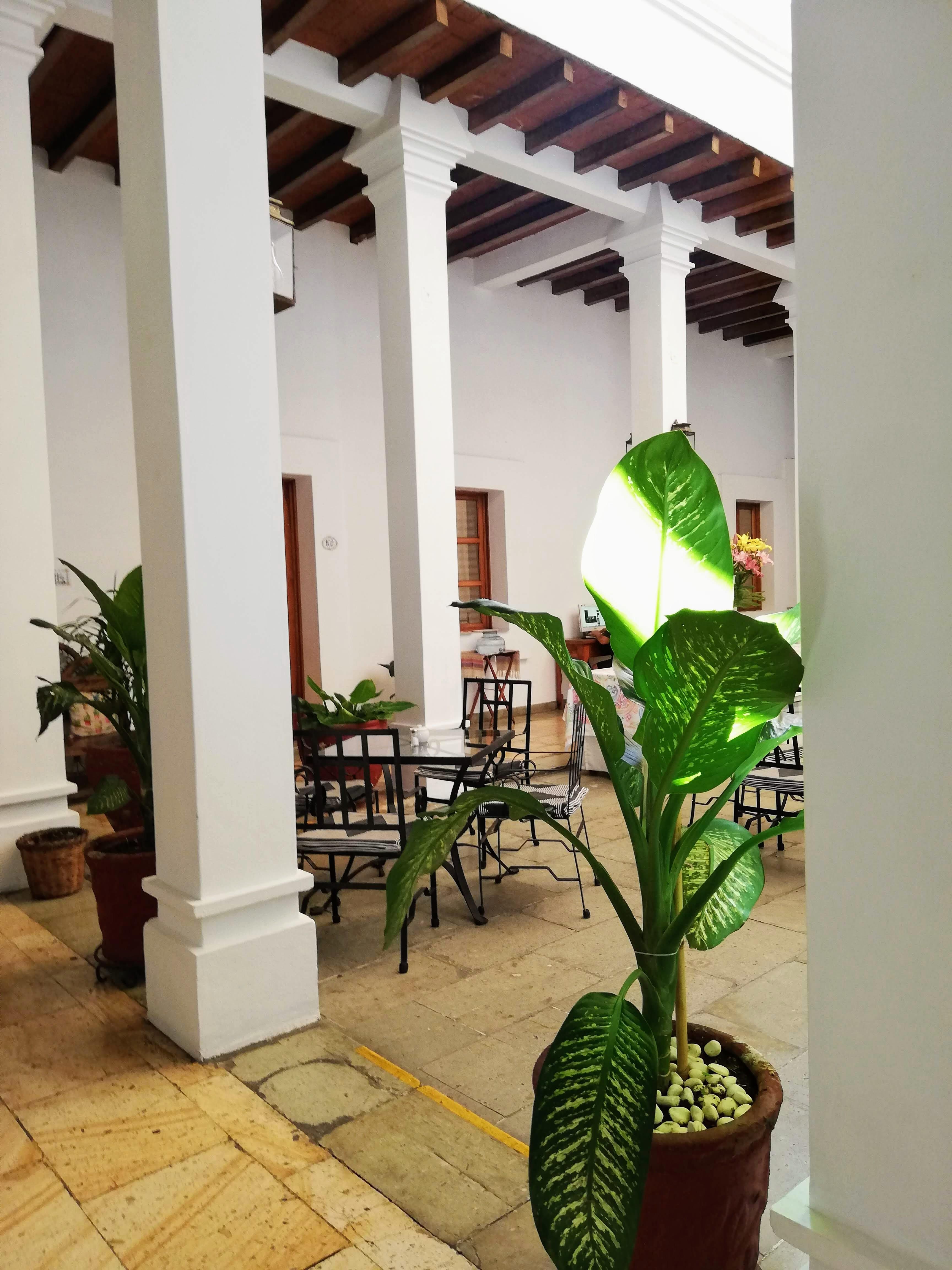 Hotel Aitana Oaxaca Εξωτερικό φωτογραφία
